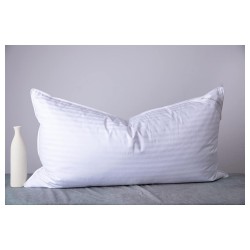 Feather Pillows Collection Item 001