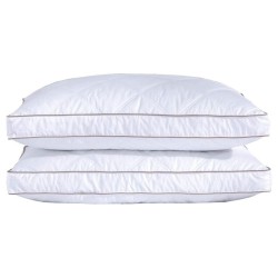 Feather Pillows Collection Item 003