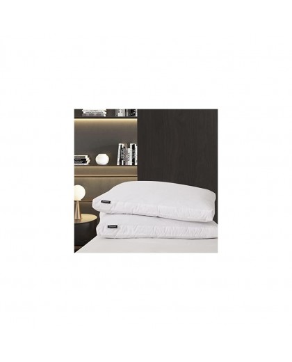 Feather Pillows Collection Item 004