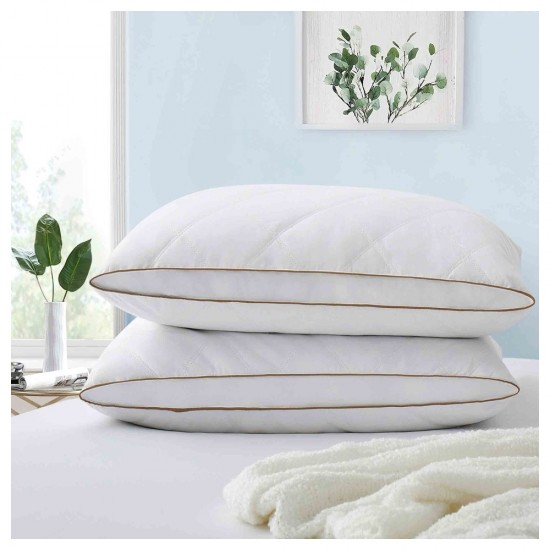 Feather Pillows Collection Item 010