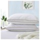 Feather Pillows Collection Item 010