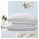 Feather Pillows Collection Item 010