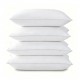 Feather Pillows Collection Item 011