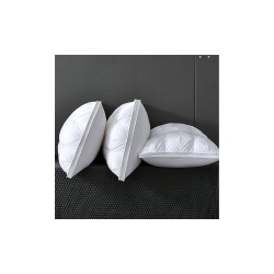 Hotel Pillows Collection Item 022